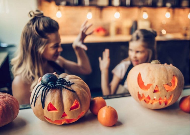 Фото: Shutterstock.com  📷
