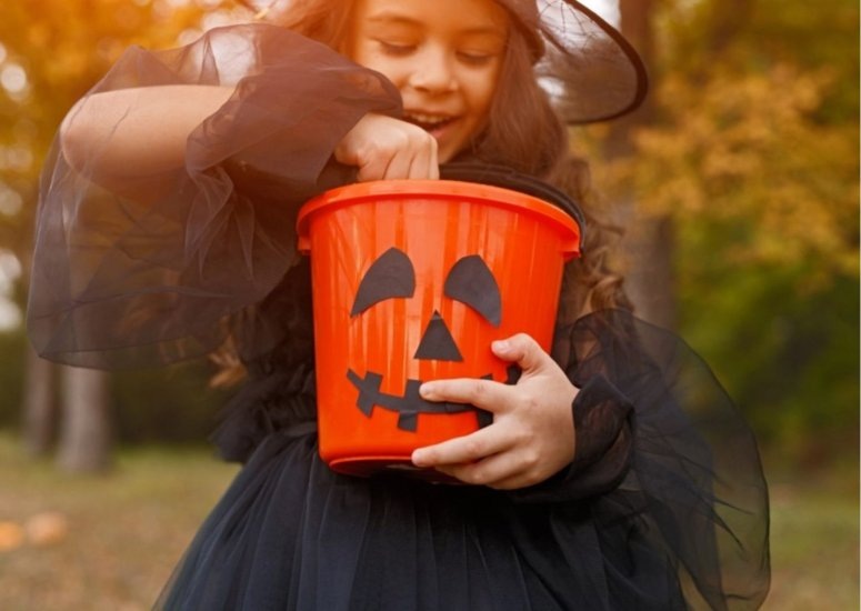 Фото: Stock.adobe.com  📷
