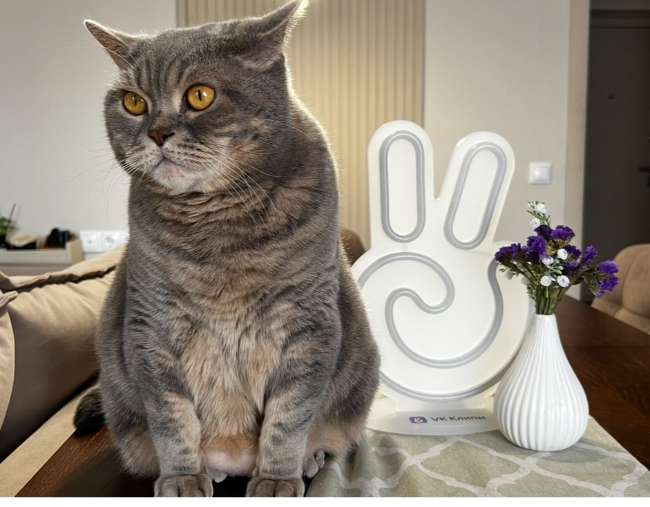 Ох и нагнетает эта Ма!😸