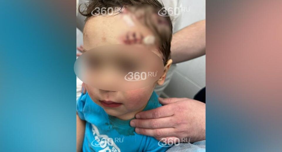    Телеканал «360»