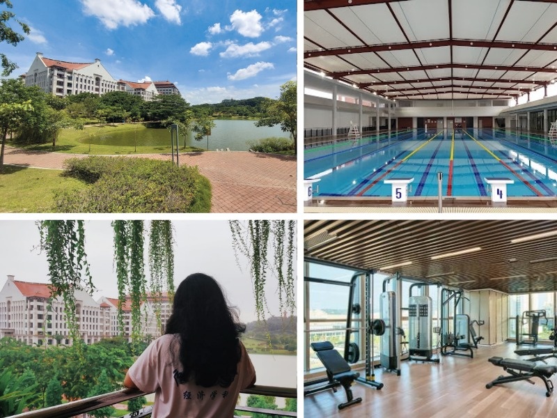 Айти, Инженерия (разные направления), бизнес-специальности, гуманитарные дисциплины – университет предоставляет широкий спектр обучения на английском языке.