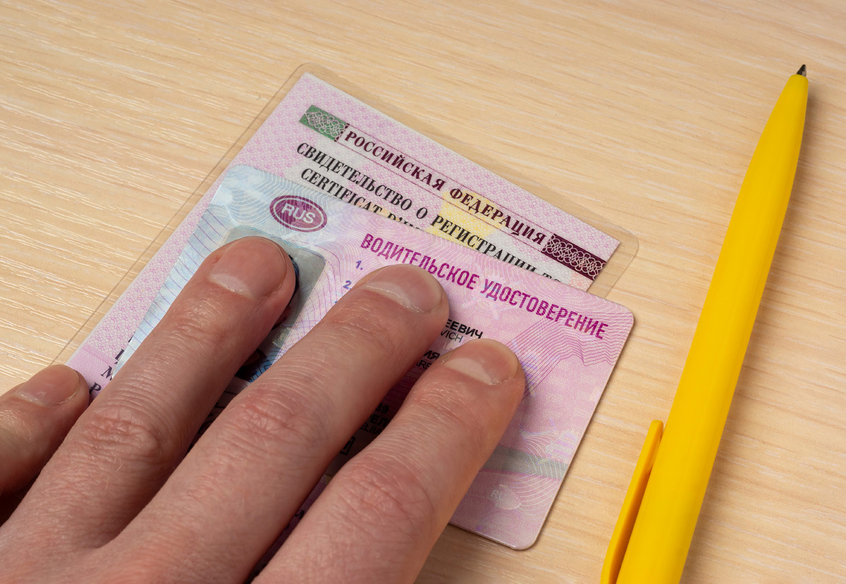 Фото: Shutterstock/Sergei Gorin