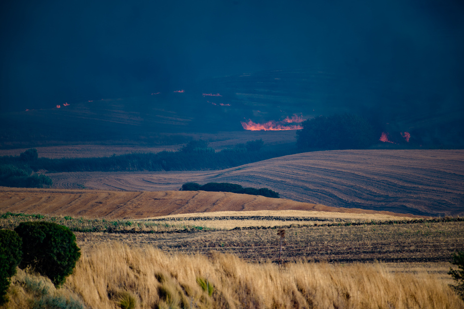 Фото: Davide Pischettola/ Getty Images