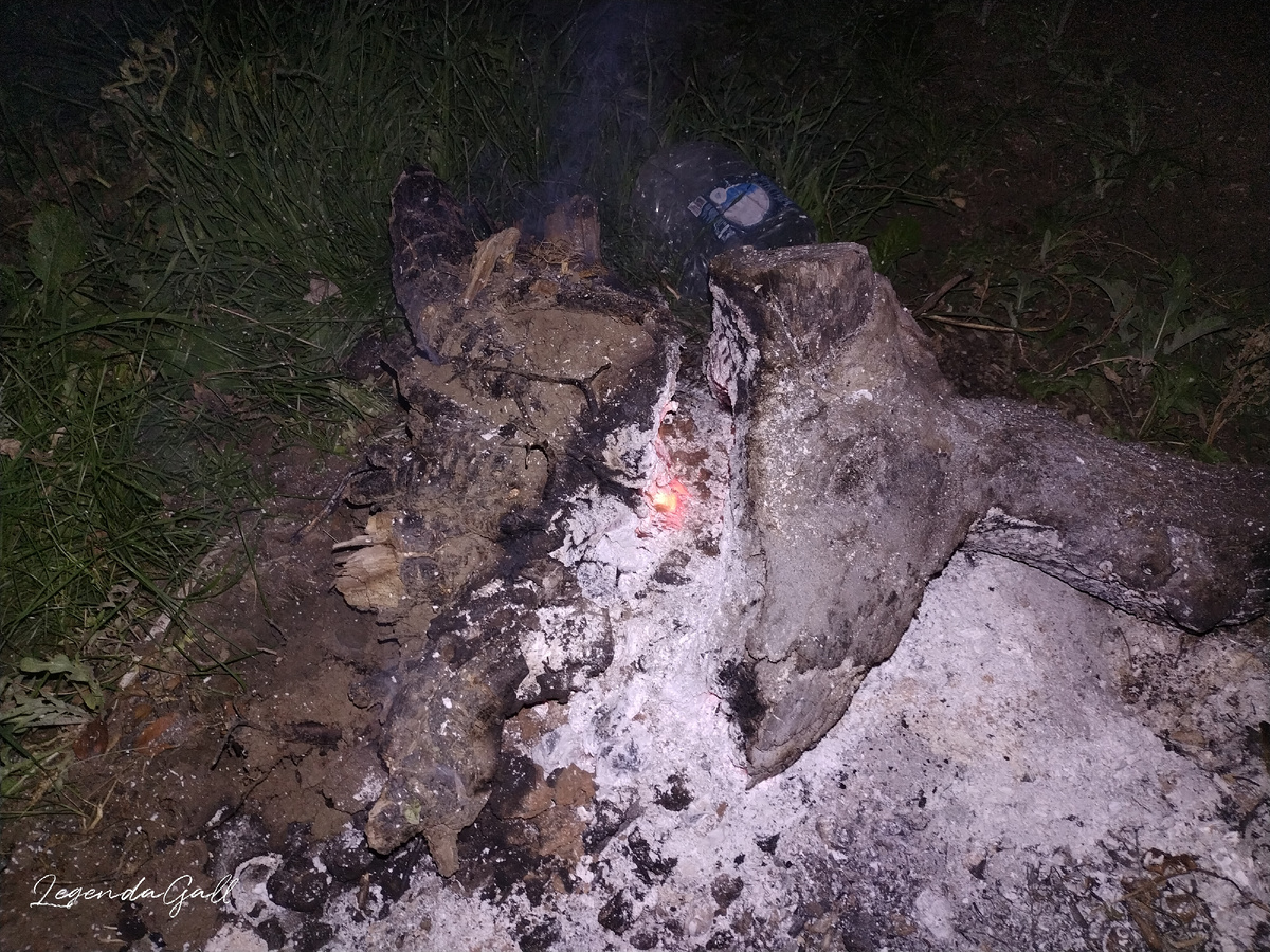 Это со вспышкой, чтобы понять размеры бревнышка
