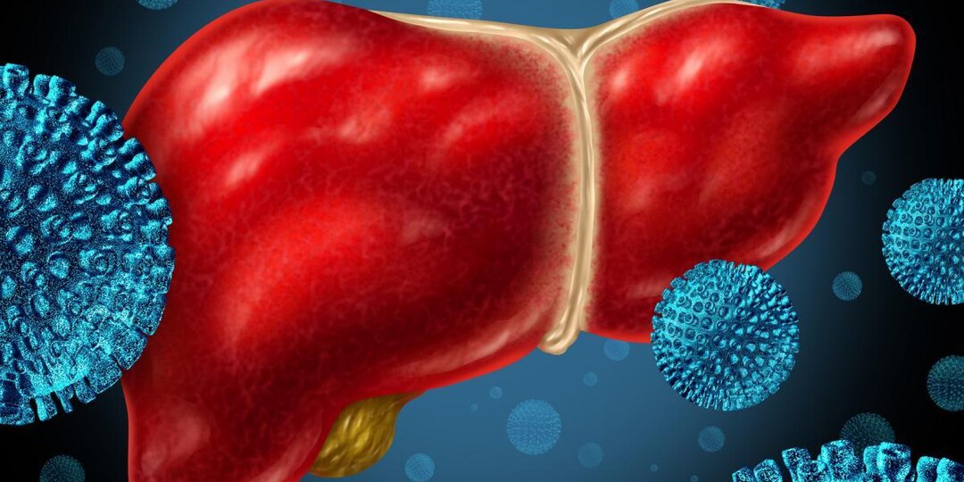 Фиброз печени — что важно знать
