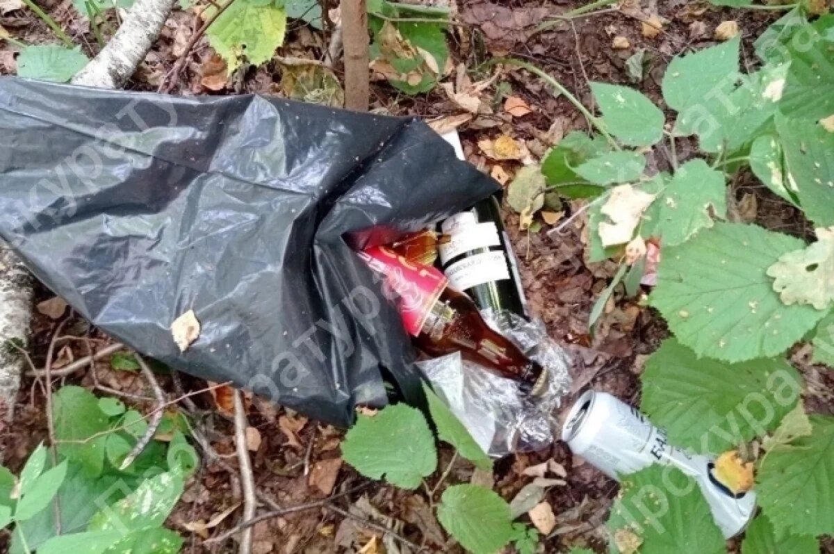    В Ленинском районе прокуратура контролирует устранения нарушений в лесу