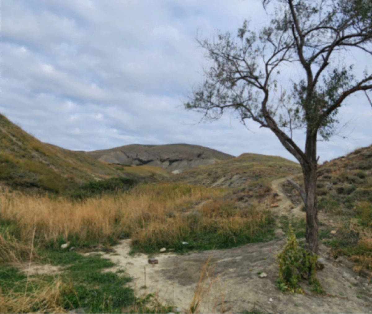 Фото: Оксана Улитина