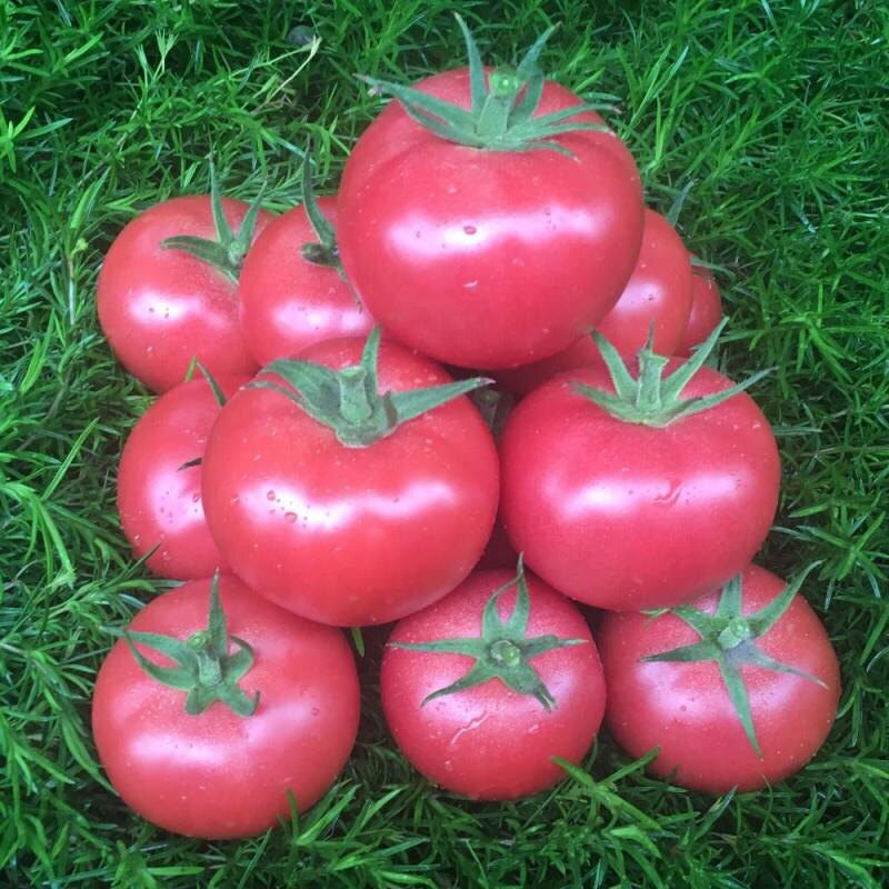 Из открытого источника 