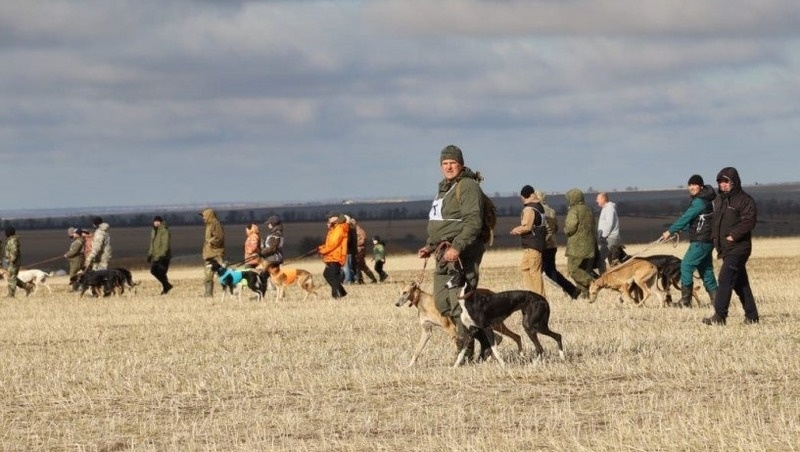      Фото: минприроды СК