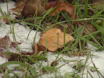    Фото: ГТРК Карелия