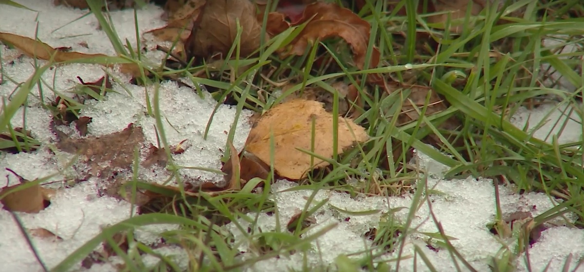    Фото: ГТРК Карелия