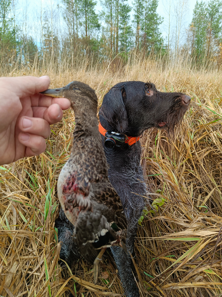 Трофей уже есть! С Полем!
