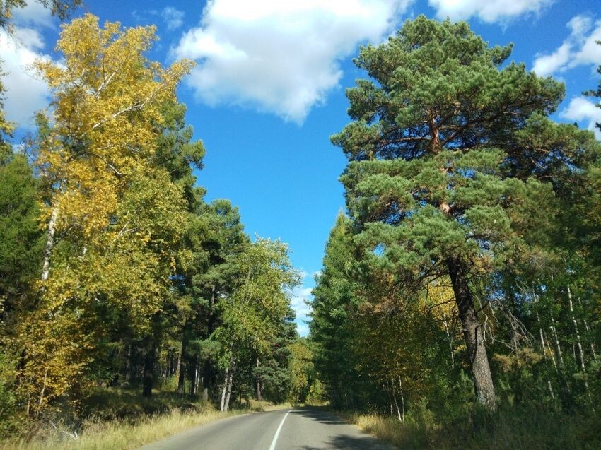    Фото: Пресс-служба правительства Забайкалья