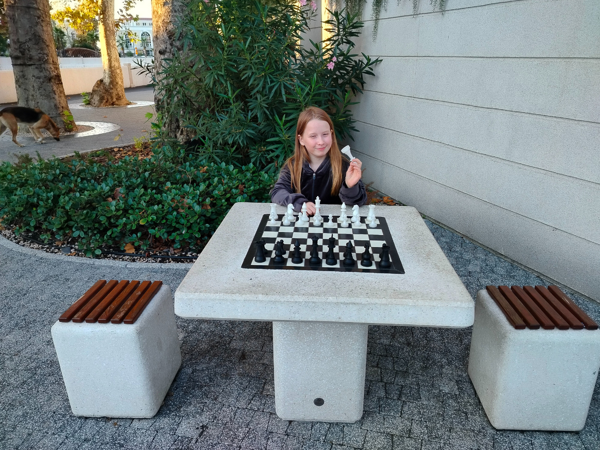 шахматная доска 