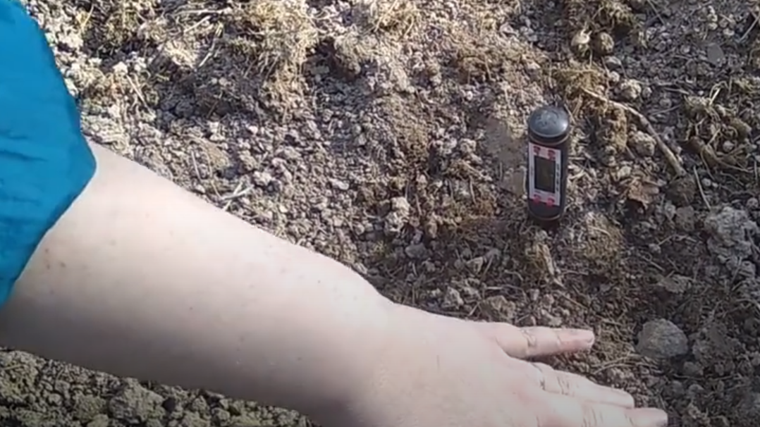 Температура почвы - главный индикатор готовности к посеву