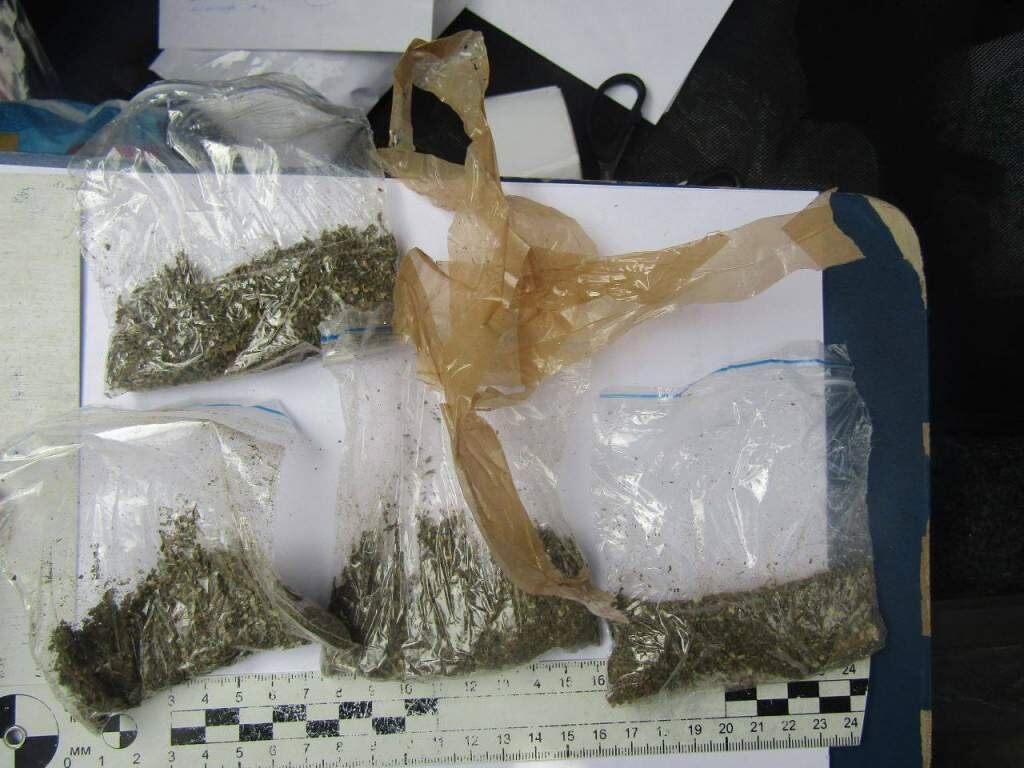    Фото УМВД России по Курской области