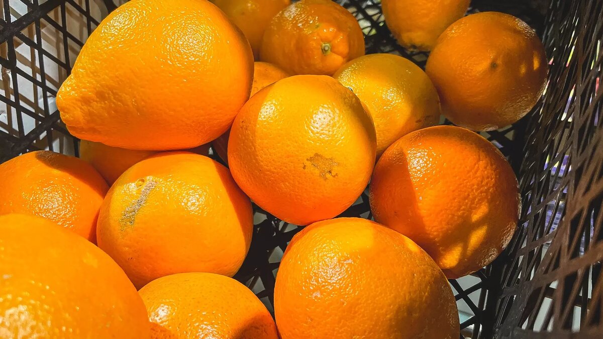     Источник: 1MI