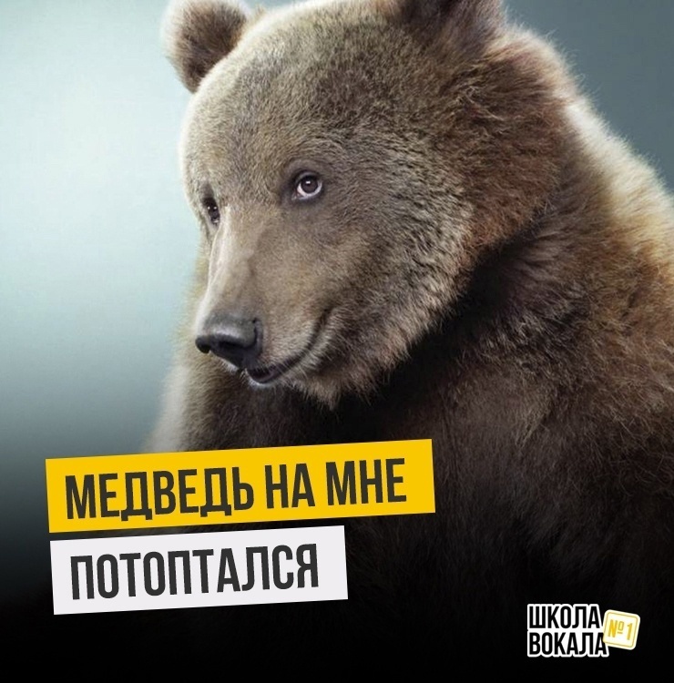 Добавьте описание