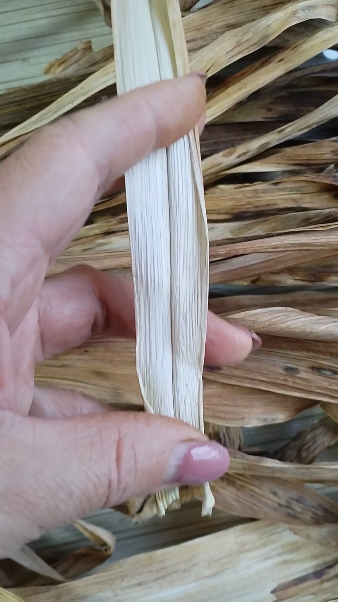 Лист ириса. 