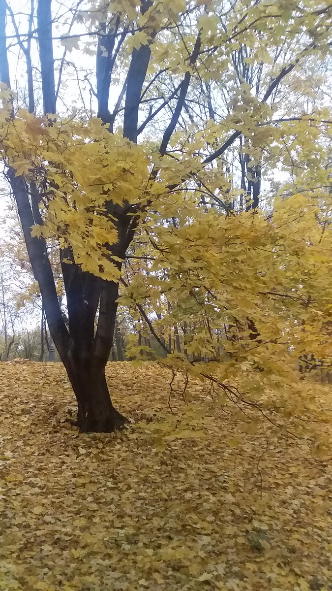 Все фото - автора.