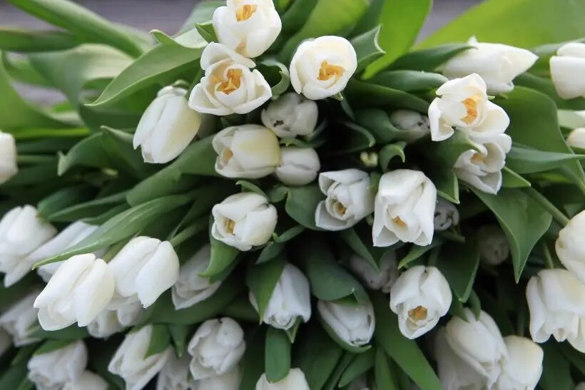     © РИА Новости. Денис Абрамов