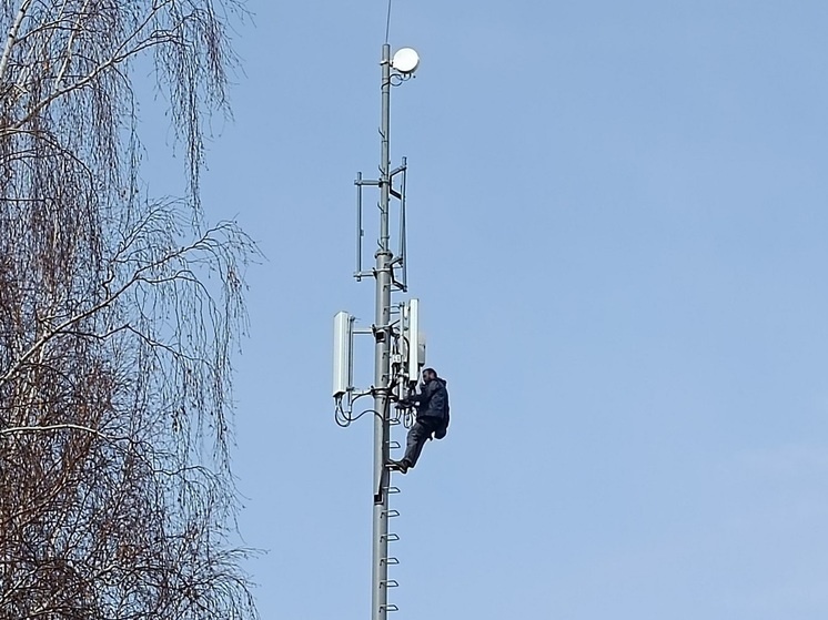     Вышка сотовой связи. Фото: Николай Курилов / МК-Урал.