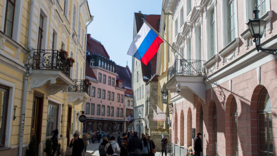    МИД Эстонии вызвал российского дипломата Татьяна Сидорова