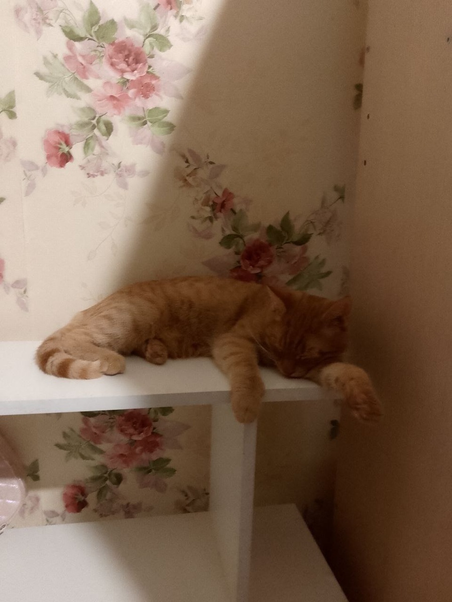 Вот так мы спим