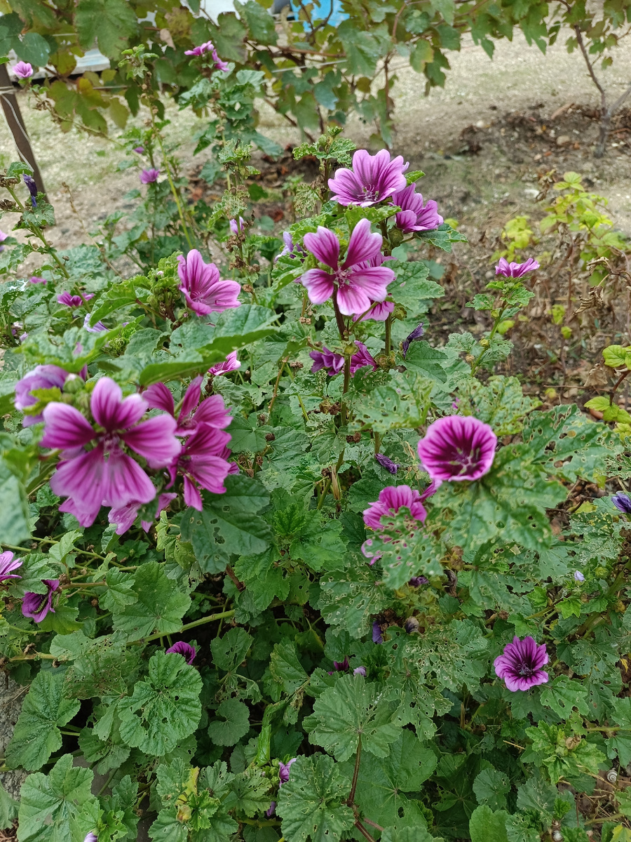 Это и другие фото автора канала