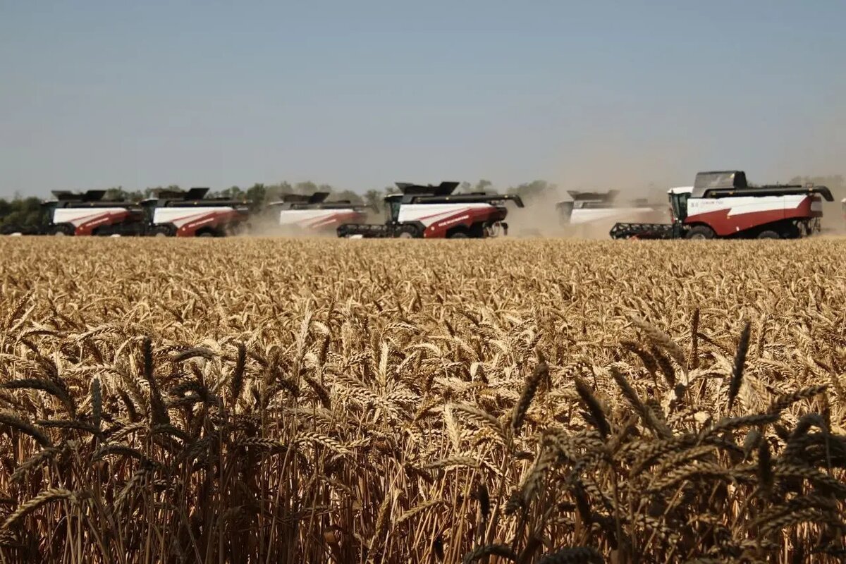     © "Интерфакс". Федор Ларин