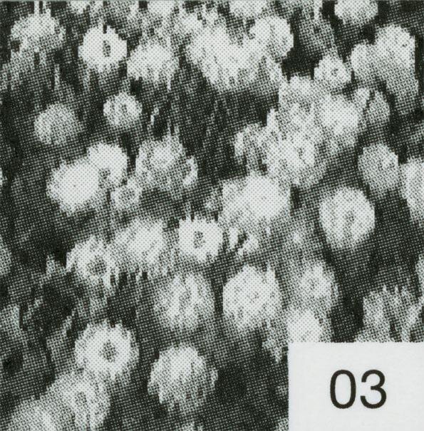 Из внутреннего оформления альбома