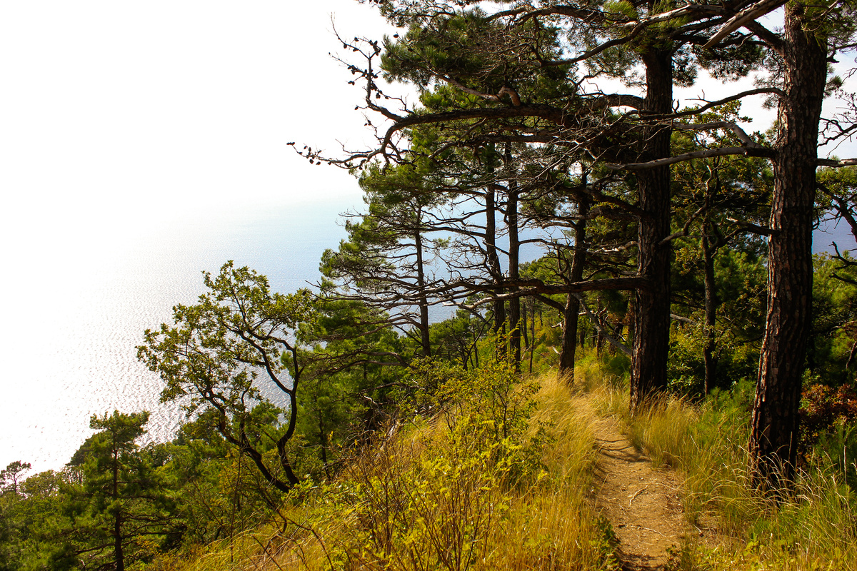 Туристическая тропа на горе Святой Нины
