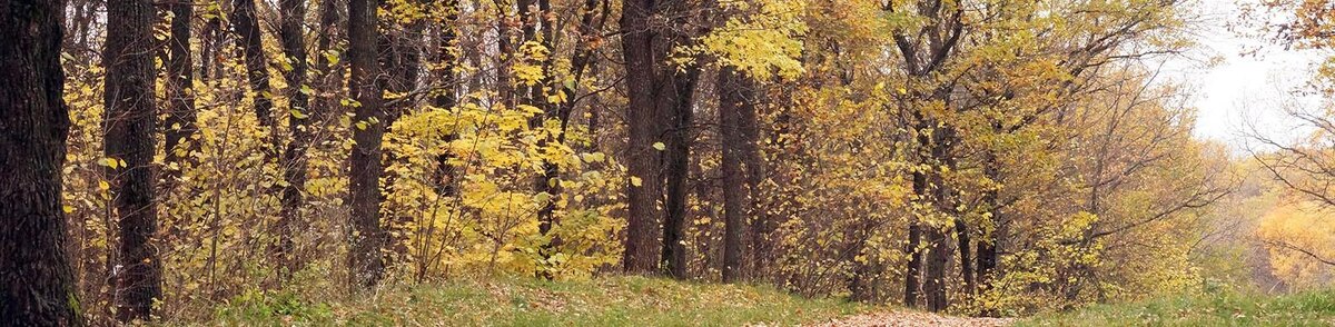    Фото: Сергей Егоров