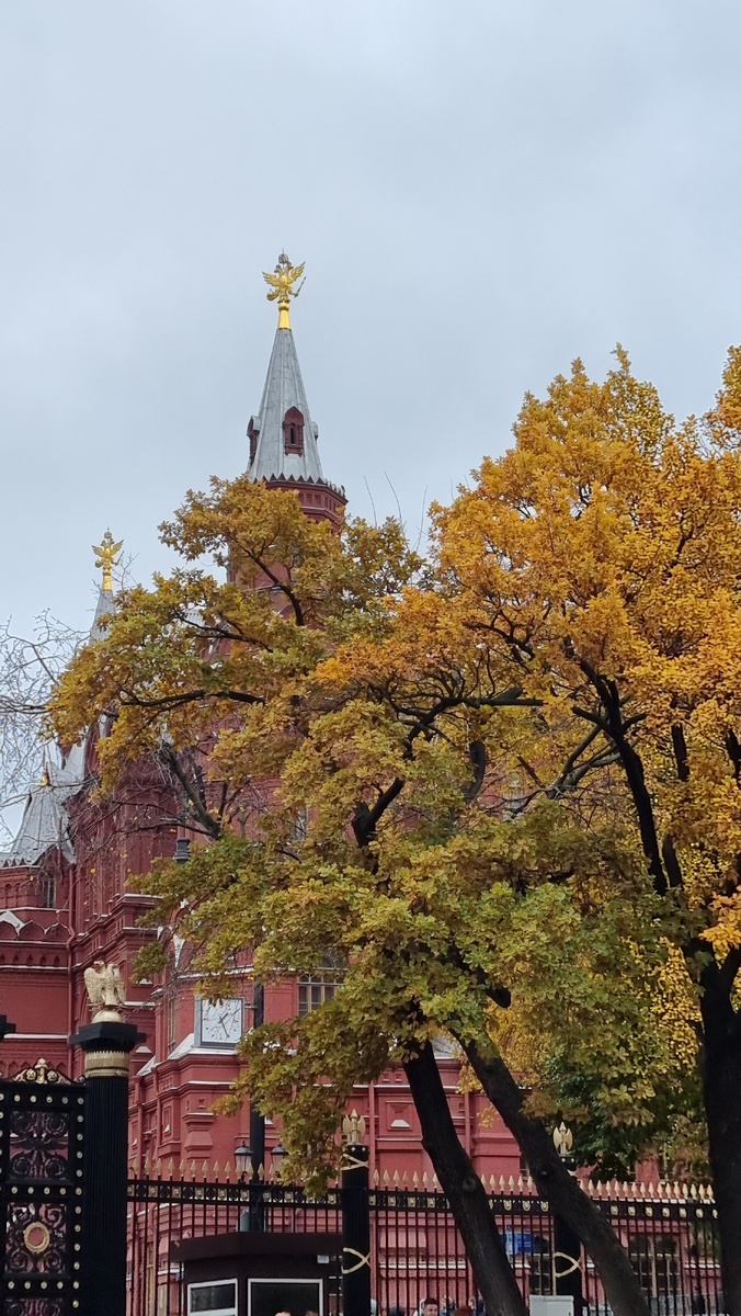 Александровский сад  - символ возрождения Москвы после пожара 1812 года. Назван в честь Александра I. Он интересен в любое время года своими памятниками, цветниками и любим жителями и гостями города