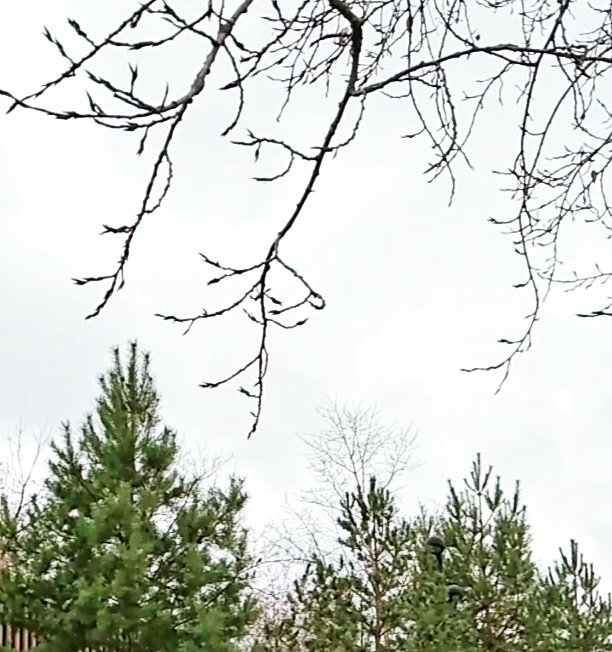 В предчувствии зимы...