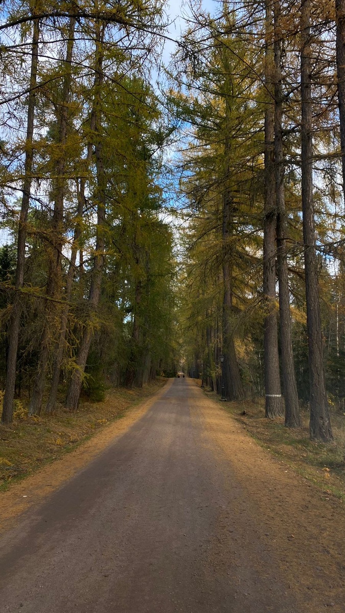 На острове Валаам. Фото Анастасии Троилиной