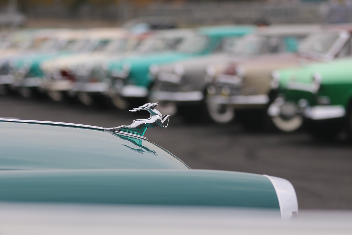 какая модель Волги с оленем на капоте? Здесь есть ответ в картинках