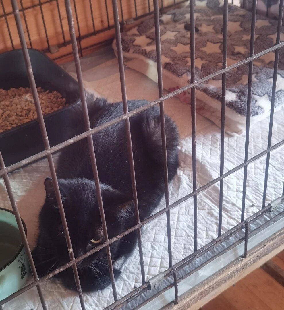 Видны подарочки? Надеюсь, Дзен не заблокирует меня за шок контент