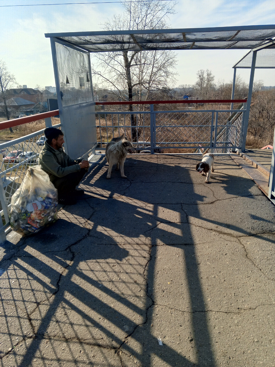 Мужик с алюмишкой Собаки подружились, собака у него упитанная