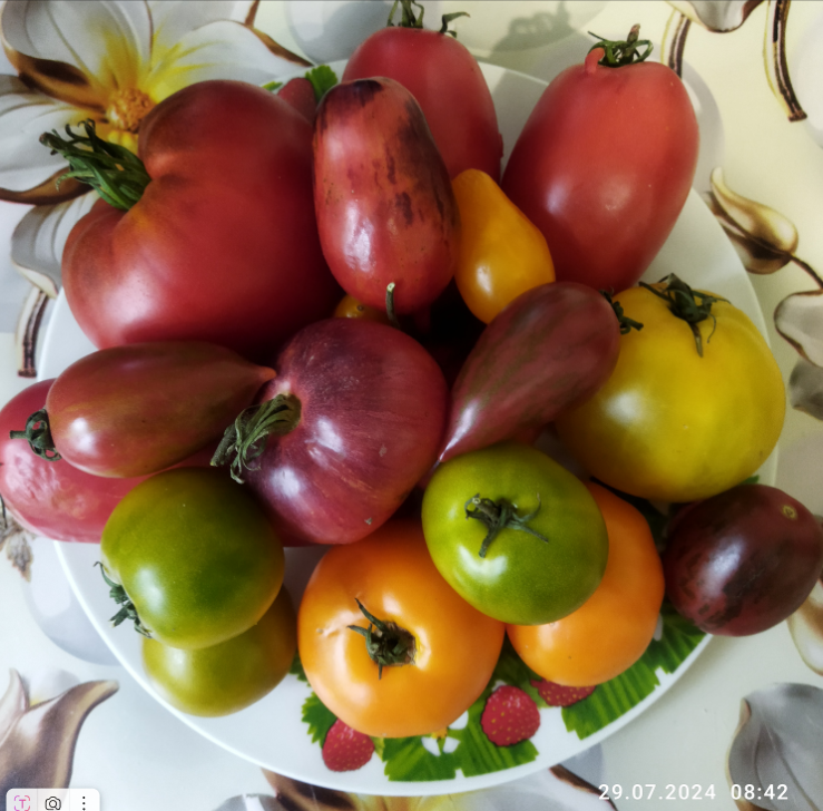 Фото Натальи. Иваново