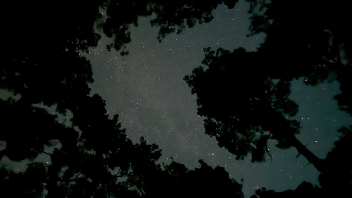 Фото: UfacityNews.ru