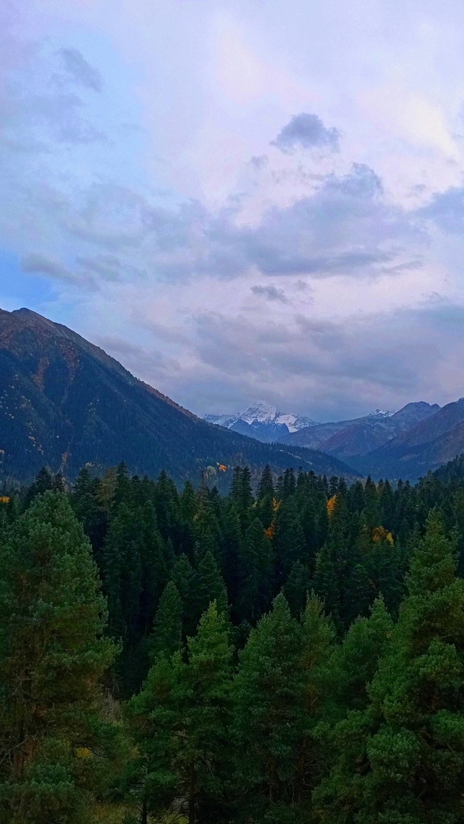 Вид из гостиницы на местные красоты 