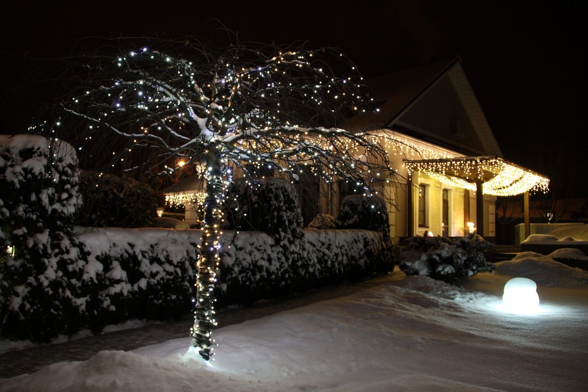Оформление деревьев к новому году световыми гирляндами