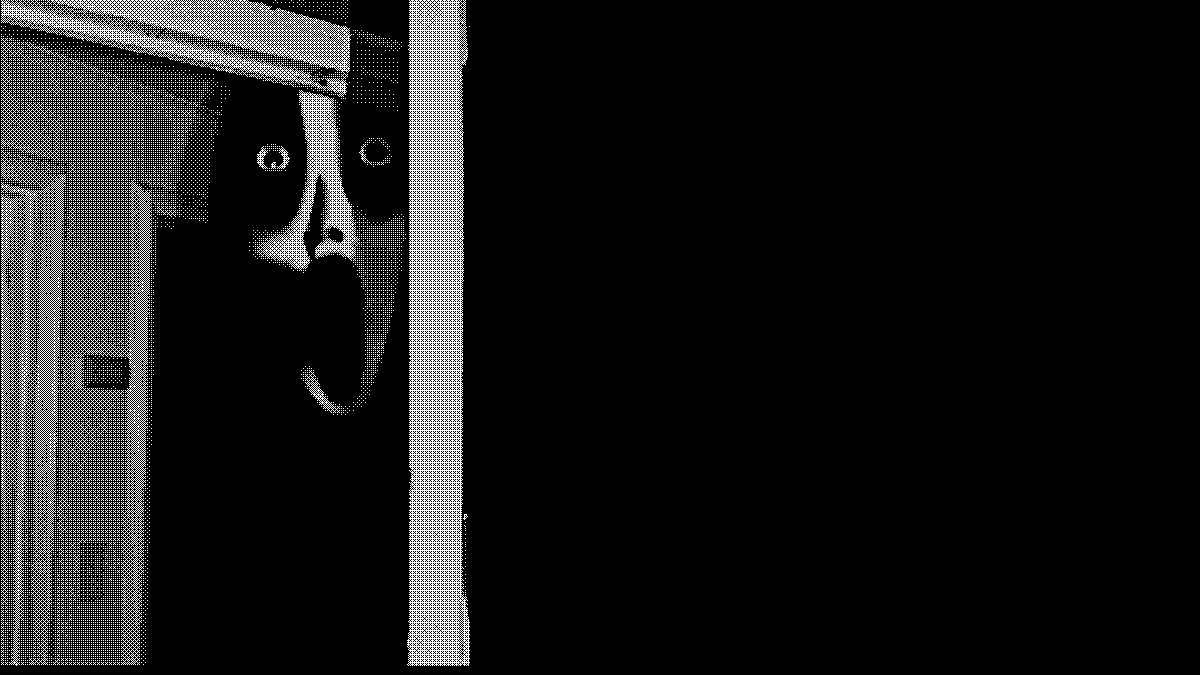 Хранитель музыкального хаоса