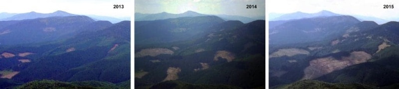    Россияне позарились на карпатские леса — украинские нацисты их защищают. На Украине презентовали новый пропагандистский мультфильм