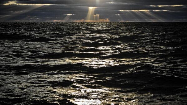    © Sputnik / Владимир Песня