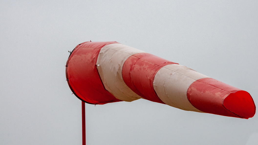    Svetlana Vozmilova/Globallookpress