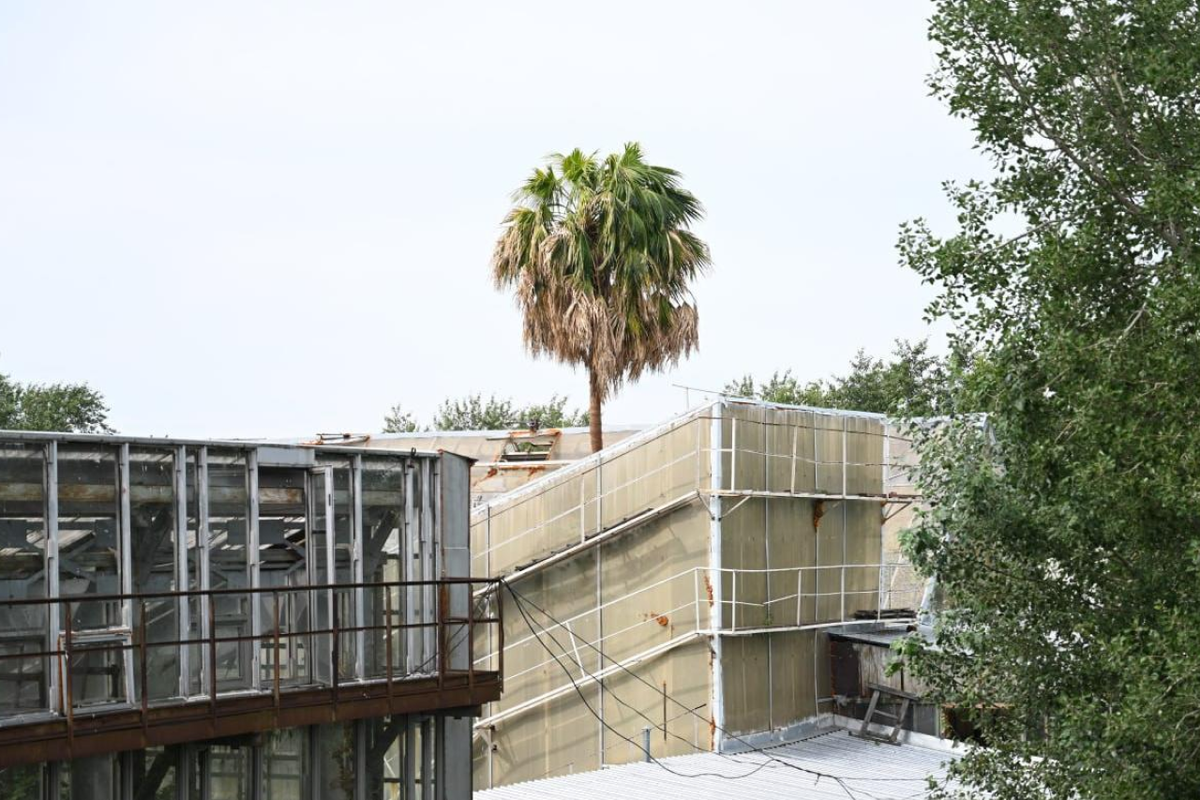 Источник: news.tsu.ru