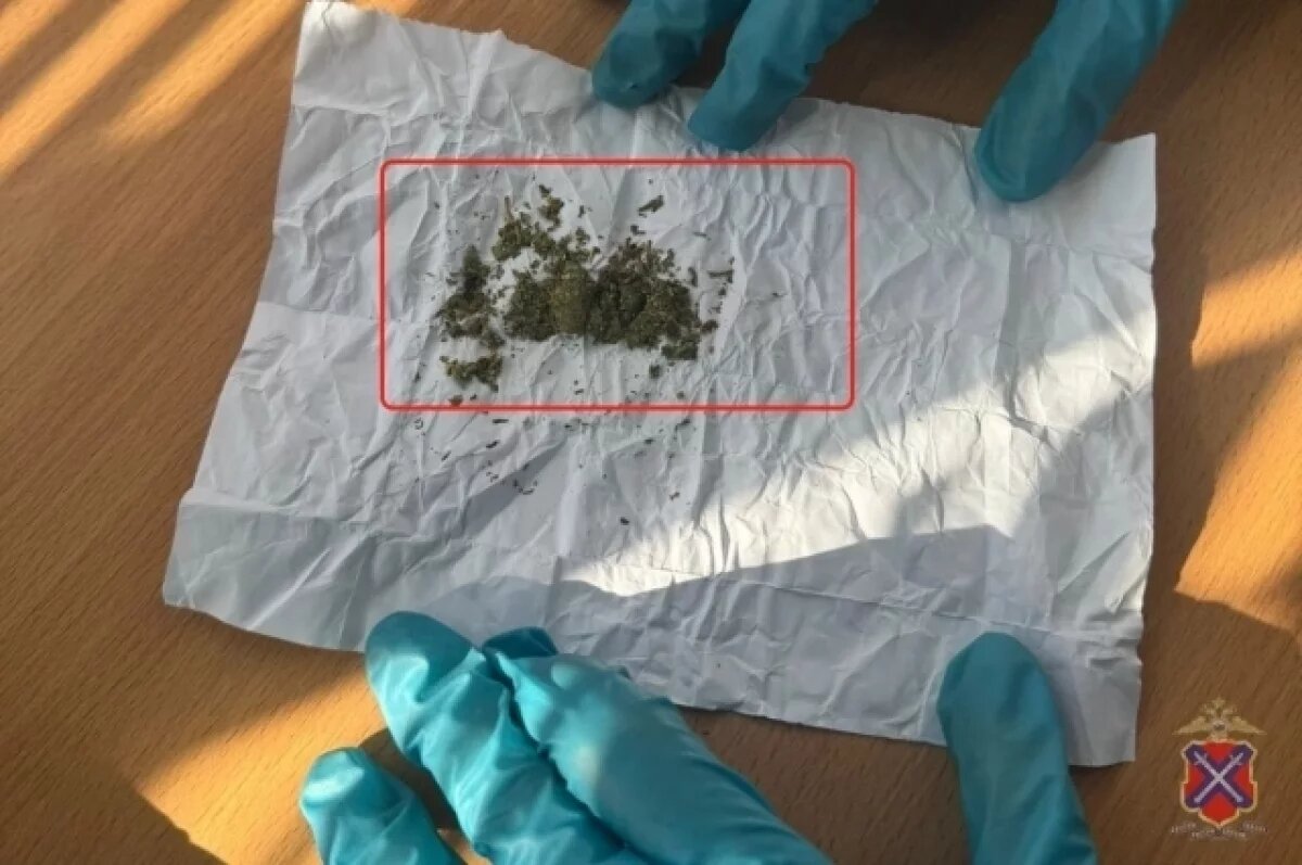    Полицейская собака рассекретила пассажира с марихуаной под Волгоградом