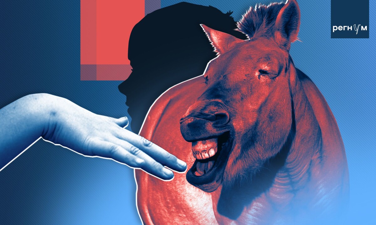     / Источник: © ИА Регнум